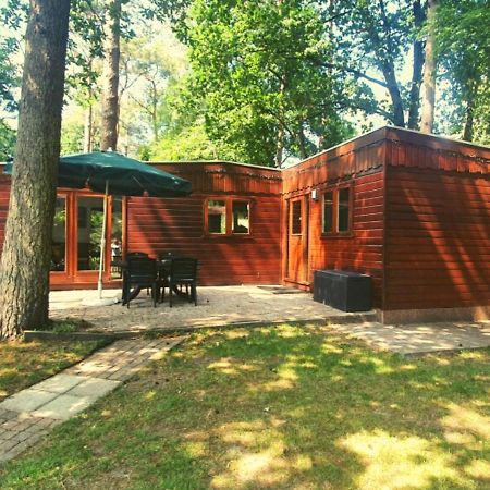 Chalet L2 Dennenrhode Doornspijk 外观 照片