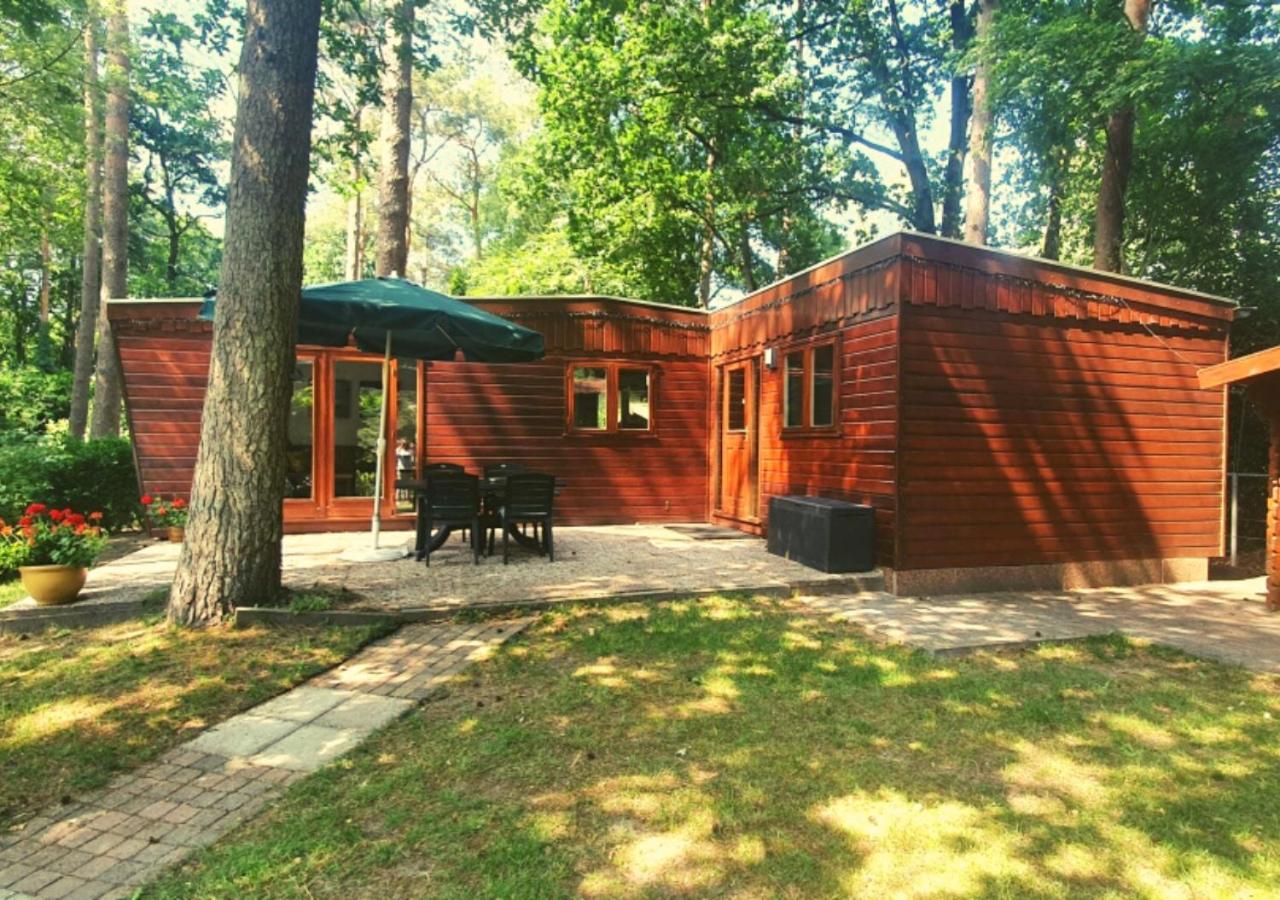 Chalet L2 Dennenrhode Doornspijk 外观 照片