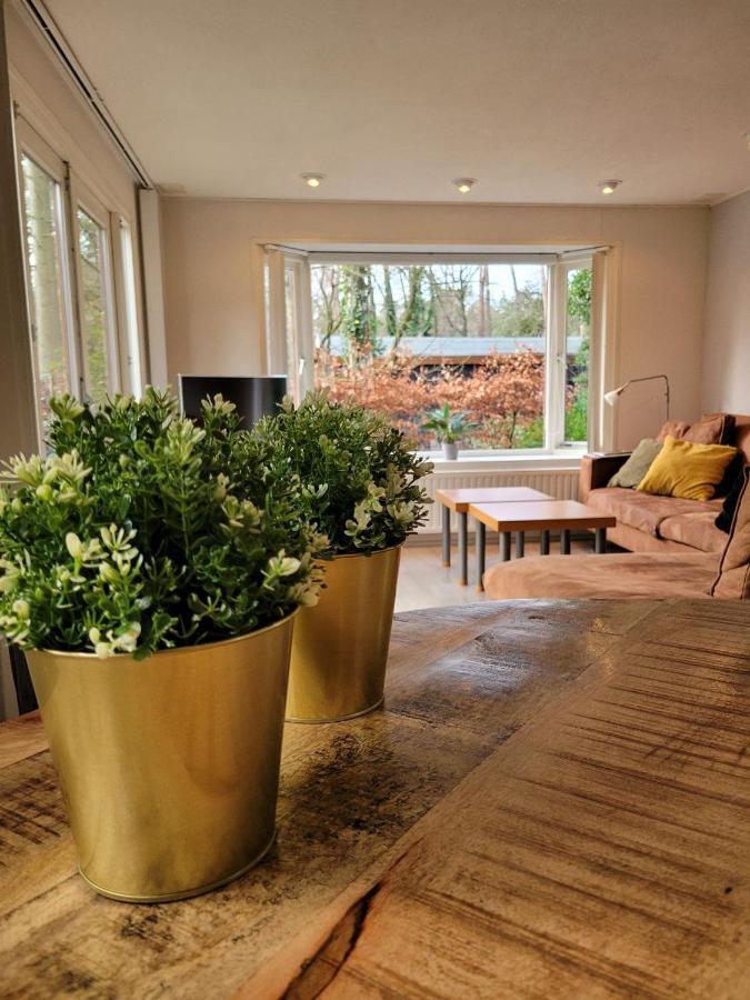 Chalet L2 Dennenrhode Doornspijk 外观 照片